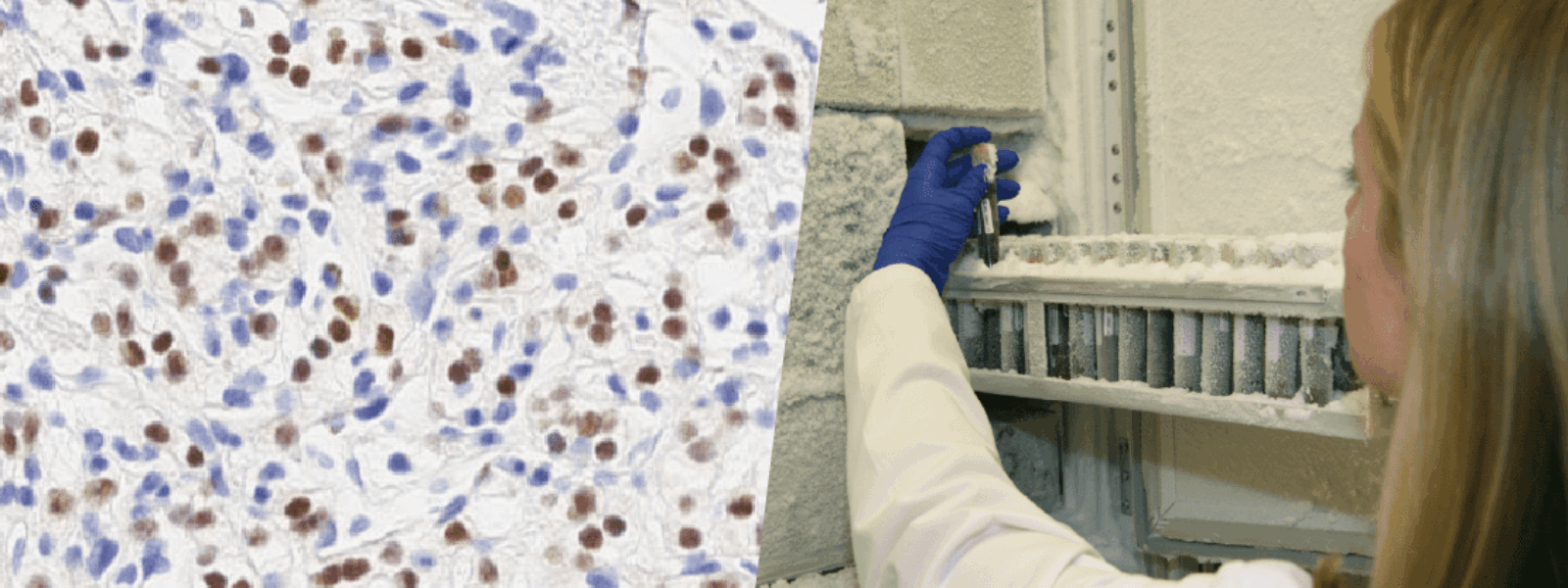 Van Andel Research Institute Biorepository earns reaccreditation from