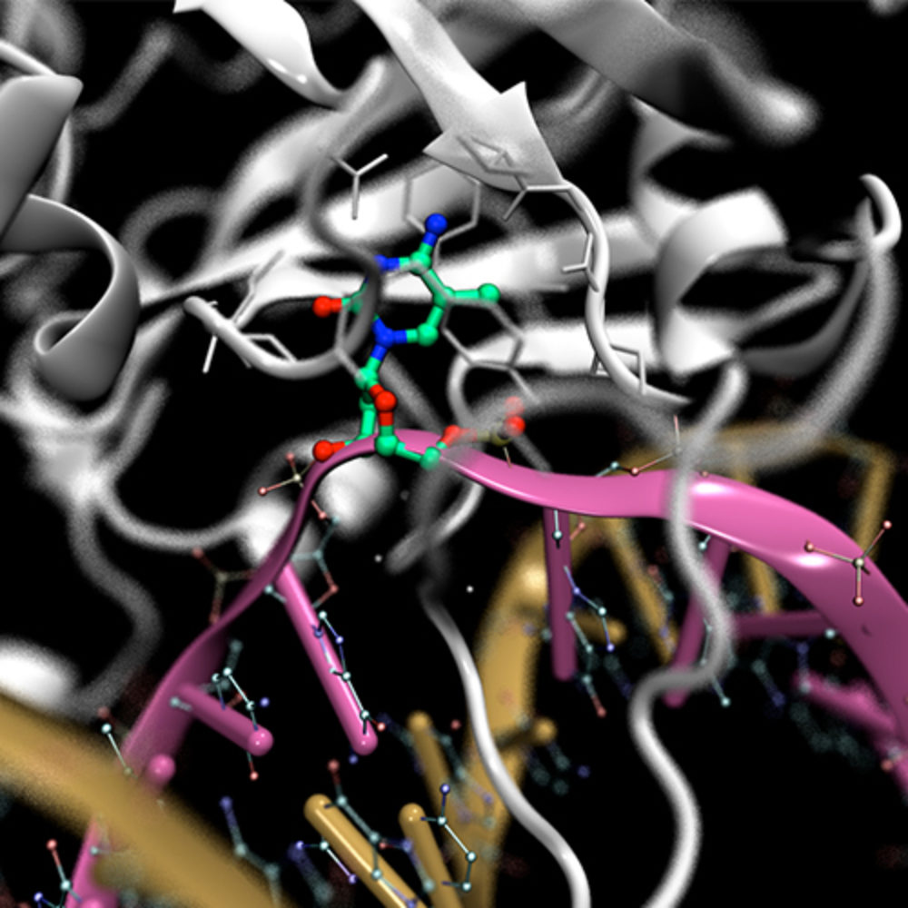 The whole of epigenetic regulation may be greater than the sum of its Biology Diagrams