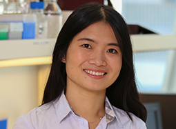 Hui Shen, Ph.D.