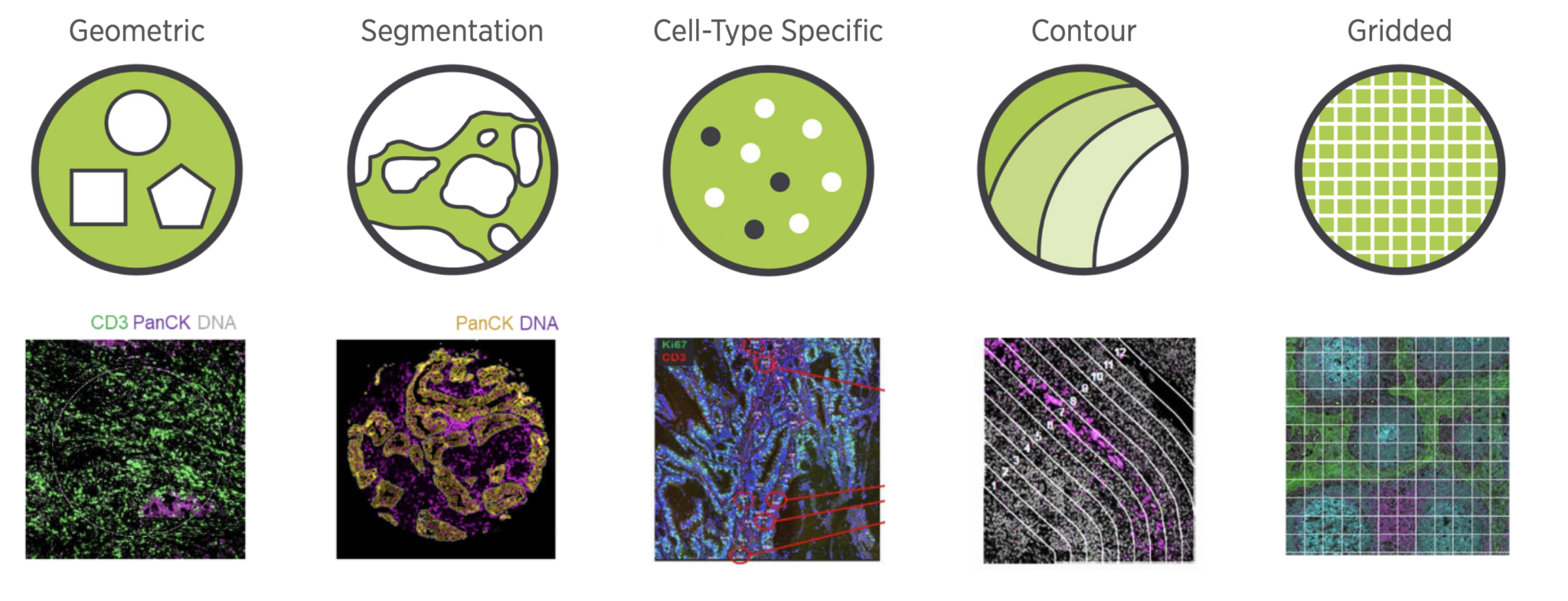 Spatial Collaborative Services – Van Andel Institute