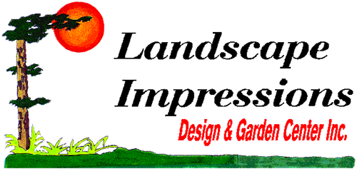 Landscape Impressions