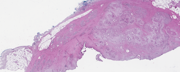 Van Andel Institute Graduate School - Biomedical Graduate Program - VAI