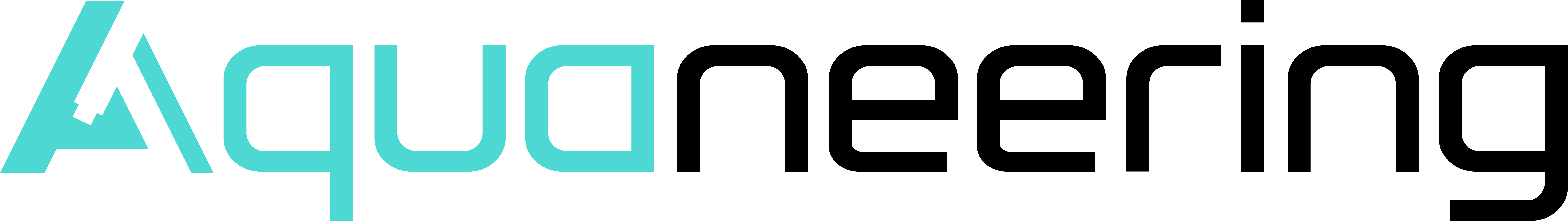 aquaneering logo