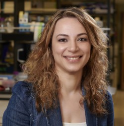 Mayssa H. Mokalled, Ph.D.