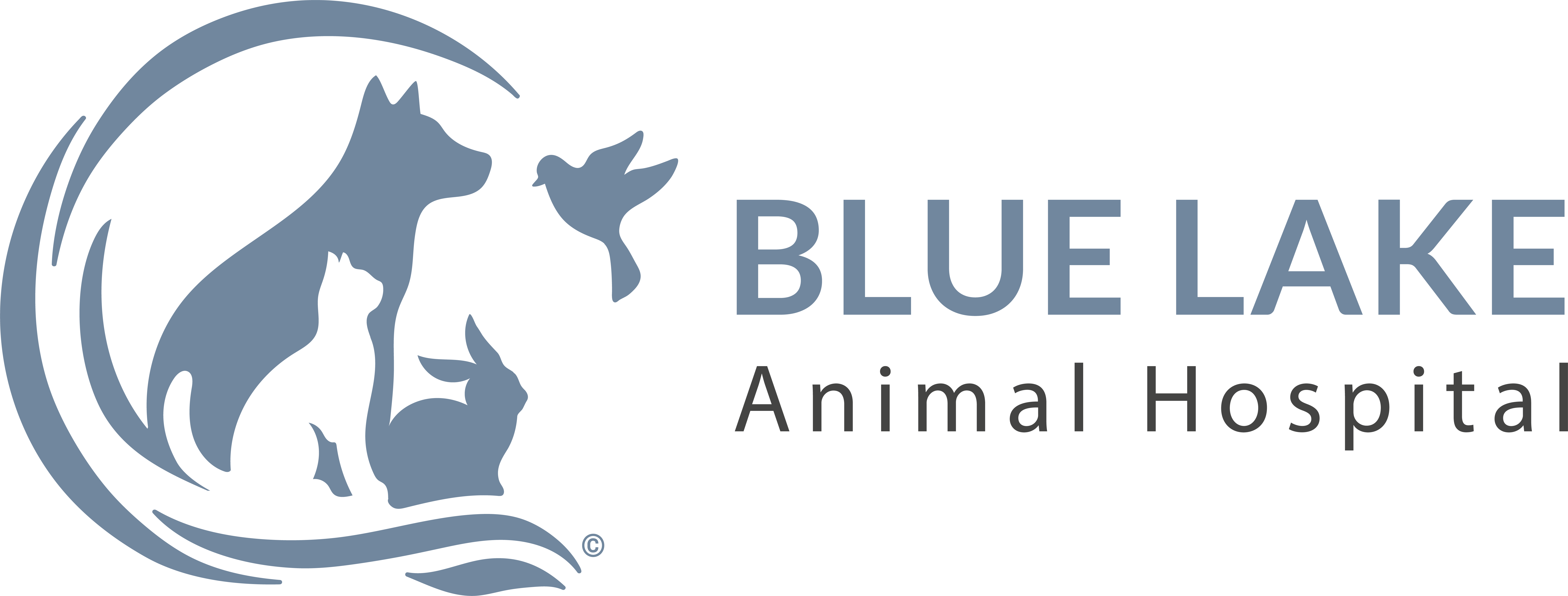 Blue Lake Animal Hospital